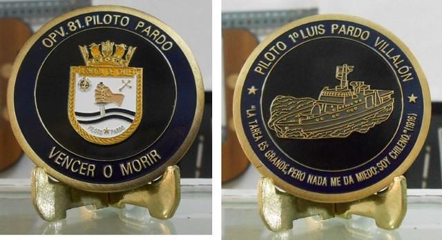 Piloto Pardo