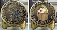 609th CODSC Coin Final