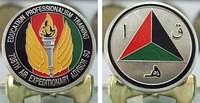738th AEAS Coin Final