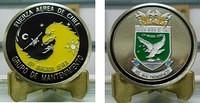 Fuerza III Brigada Coin Final