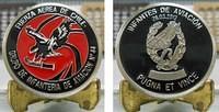 Fuerza Infanteria 44 Coin Final 2