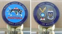 Fuerza Pantera 30 Anos 2