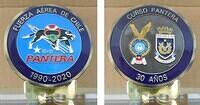 Fuerza Pantera 30 Anos