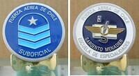 Fuerza Suboficial
