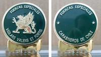 Fuerza Vigilians