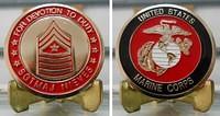 SgtMaj Nieves Coin Final