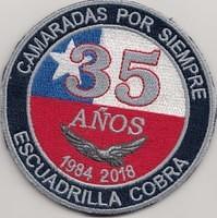 Fuerza Cobra 35 Anos Patch Final